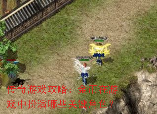 传奇游戏攻略：金币在游戏中扮演哪些关键角色？