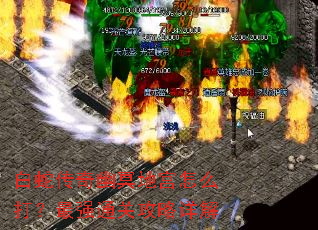 白蛇传奇幽冥地宫怎么打？最强通关攻略详解