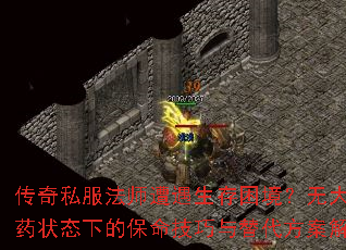 传奇私服法师遭遇生存困境？无大红药状态下的保命技巧与替代方案解析