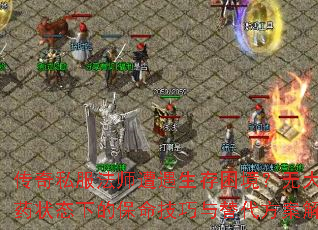 传奇私服法师遭遇生存困境？无大红药状态下的保命技巧与替代方案解析