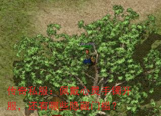 传奇私服：佩戴心灵手镯开服，还有哪些隐藏门槛？