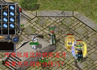 传奇私服法师使用龙牙有哪些高效刷怪技巧？
