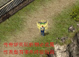 传奇SF高玩后期必追属性类型有哪些终极指南