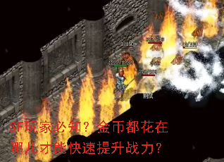 SF玩家必知？金币都花在哪儿才能快速提升战力？