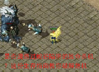 是否遭遇过蛇谷陷阱的致命杀机？这份生存指南教你破解危机