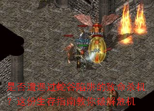 是否遭遇过蛇谷陷阱的致命杀机？这份生存指南教你破解危机