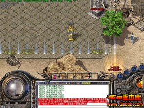 变态传奇私服发布网,游戏资源与安全指南-全面解析