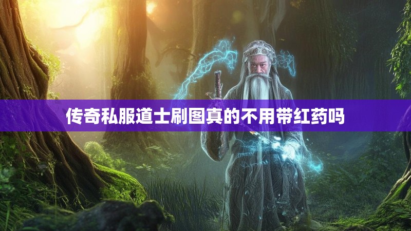 传奇私服道士刷图真的不用带红药吗
