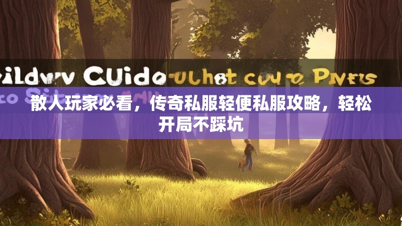 散人玩家必看，传奇私服轻便私服攻略，轻松开局不踩坑