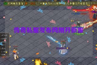 传奇私服发布网刚开新服