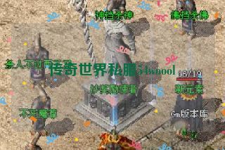 传奇世界私服54woool