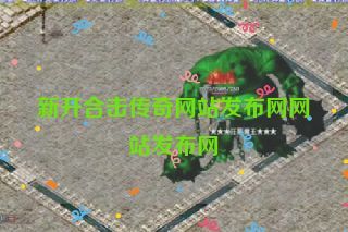 新开合击传奇网站发布网网站发布网