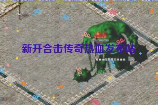 新开合击传奇热血发布站