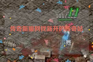 传奇新服网找新开的传奇站