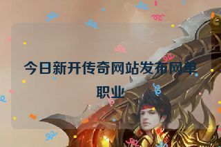 今日新开传奇网站发布网单职业