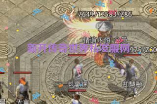 新开传奇世界私发服网