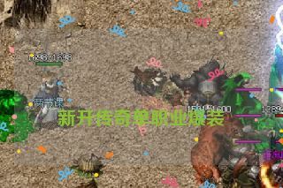  新开传奇单职业爆装