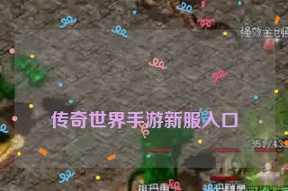  传奇世界手游新服入口