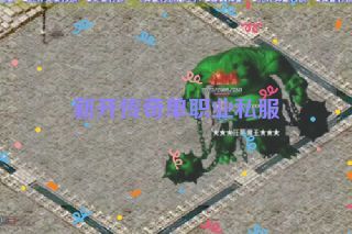 新开传奇单职业私服