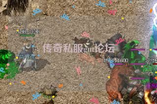 传奇私服gm论坛