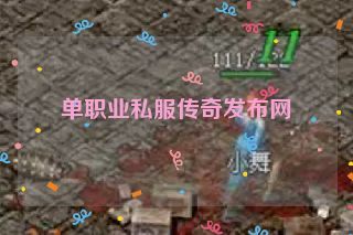 单职业私服传奇发布网