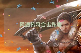网通传奇合击私服