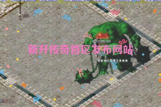新开传奇首区发布网站