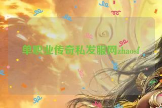 单职业传奇私发服网zhaosf