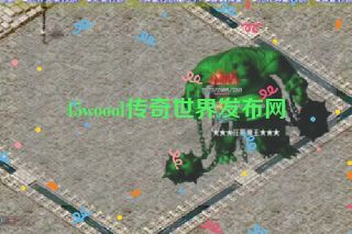 45woool传奇世界发布网