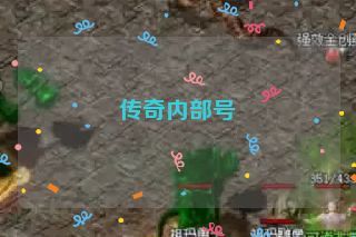 传奇内部号
