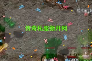传奇私服新开网