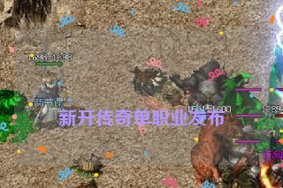  新开传奇单职业发布