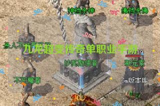 九龙超变传奇单职业手游
