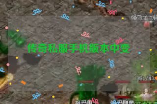 传奇私服手机版本中变