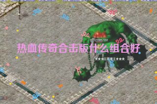 热血传奇合击版什么组合好