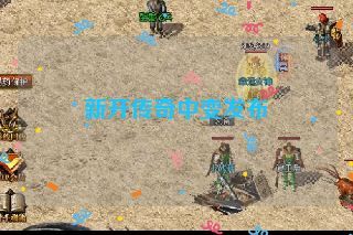 新开传奇中变发布