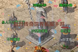 新开传奇世界私服手游