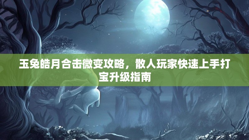玉兔皓月合击微变攻略，散人玩家快速上手打宝升级指南