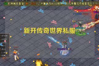 新开传奇世界私服