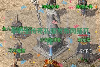 单职业传奇私服发布网新开服