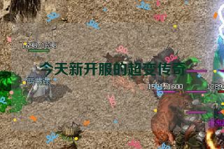 今天新开服的超变传奇