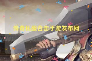 传奇私服合击手游发布网 传奇私服合击手游发布网