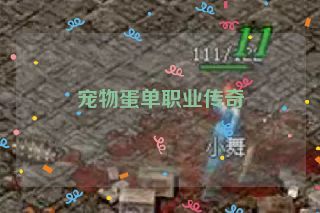 宠物蛋单职业传奇