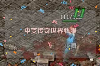 中变传奇世界私服