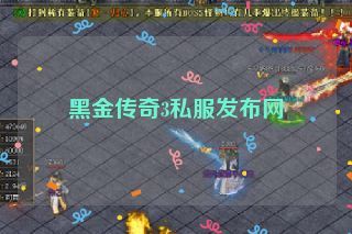 黑金传奇3私服发布网
