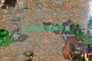传奇私发服网中变