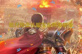 新开传奇私服发布网单职业