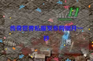 传奇世界私服发布网刚开一秒