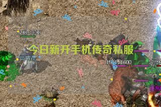 今日新开手机传奇私服