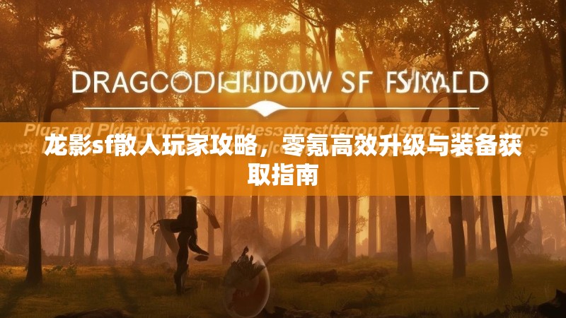 龙影sf散人玩家攻略，零氪高效升级与装备获取指南